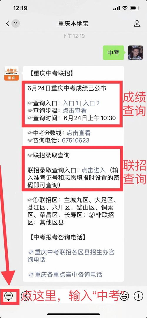 重慶中考、高考分數線公布 志愿填報與升學指南全解析